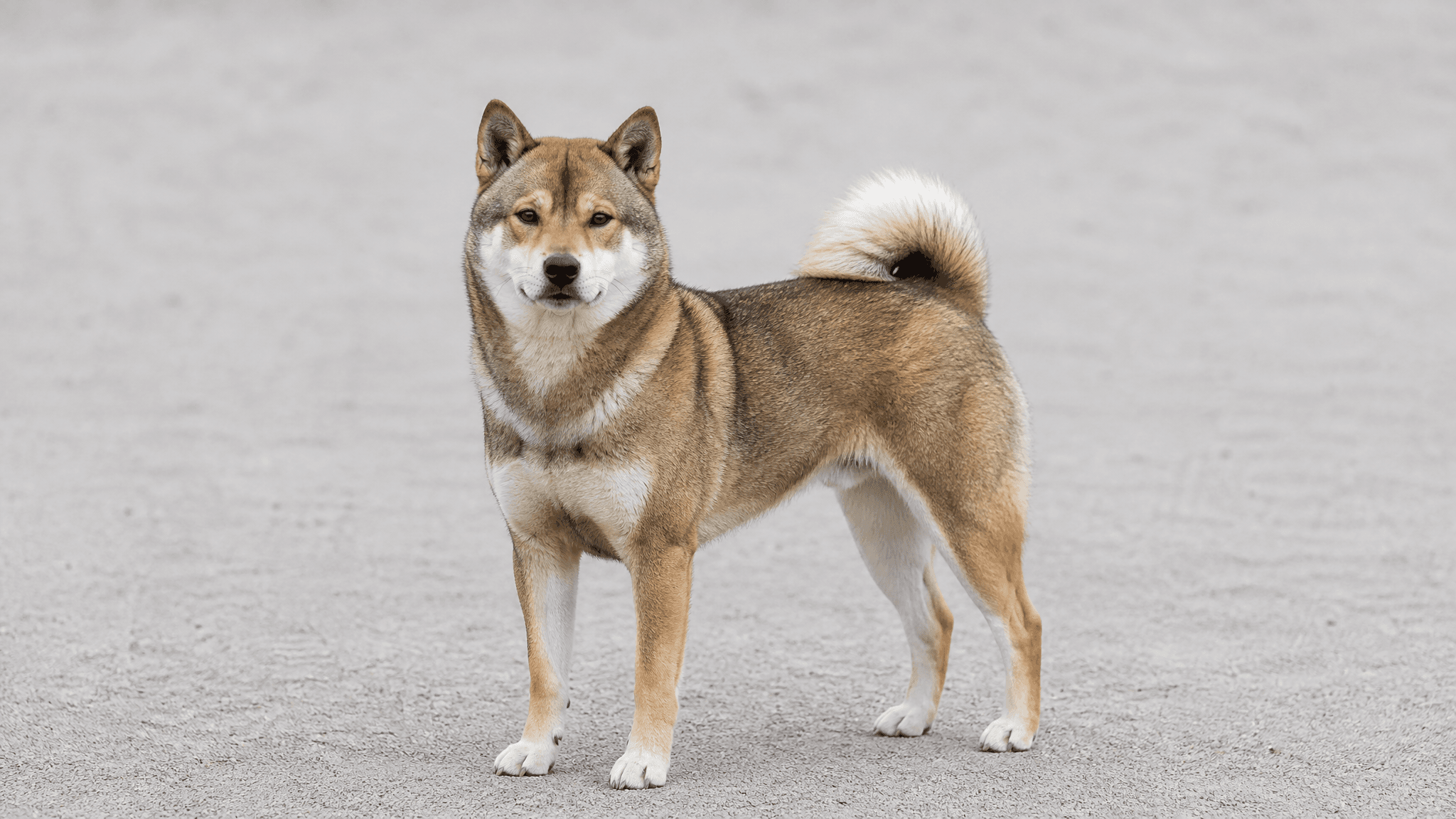 Hokkaido
